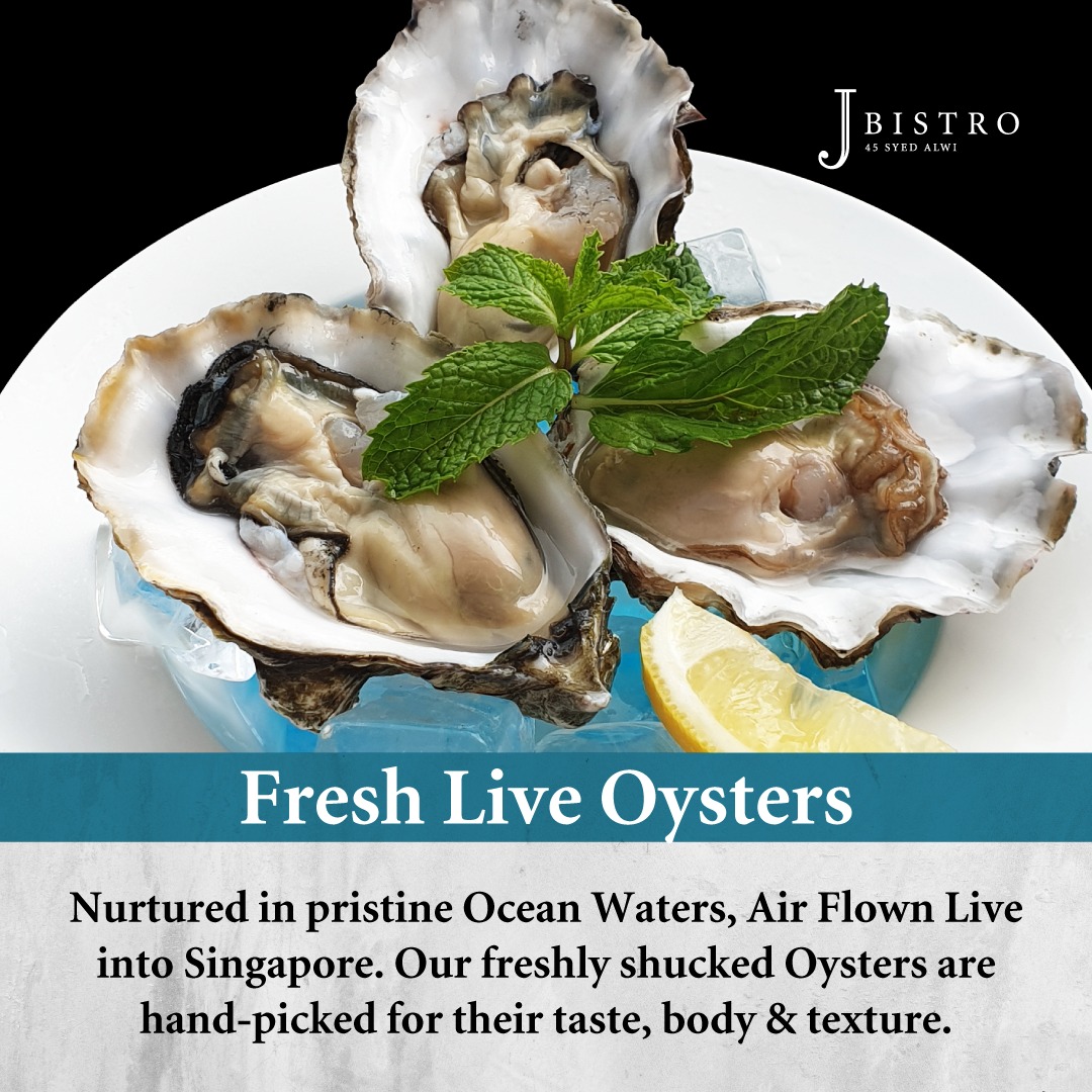 Fresh Live Oysters